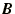 $\bi{B}$