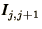 $\bi{I}_{j,j+1}$