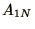$A_{1N}$