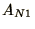 $A_{N1}$