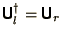 $\bss{U}_l^\dagger = \bss{U}_r$