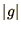 $\vert g\vert$