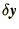 $\delta\bi{y}$